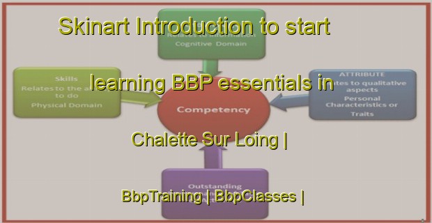 Skinart Introduction to start learning BBP essentials in Chalette Sur Loing | BbpTraining | BbpClasses | SkinartTraining-France